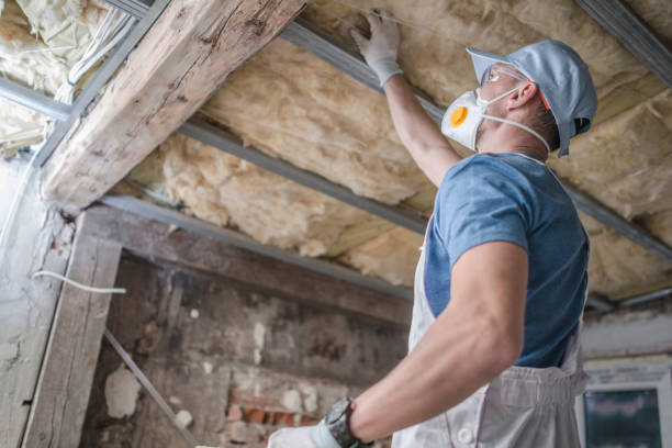 Best Wall Insulation Contractor  in Dove Valley, CO