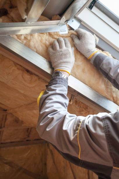 Best Insulation Contractor Near Me  in Dove Valley, CO