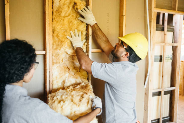 Best Affordable Insulation Services  in Dove Valley, CO