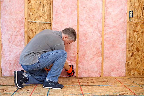 Best Cellulose Insulation  in Dove Valley, CO