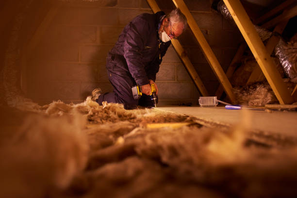 Best Home Insulation Services  in Dove Valley, CO